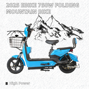 Allemagne 750W Motor E-Bike MTB Electric Folding Cargo Bicycle Rear Hub Motor Smart City Bike 48v Voltage Pièces de rechange incluses - Product Image 2