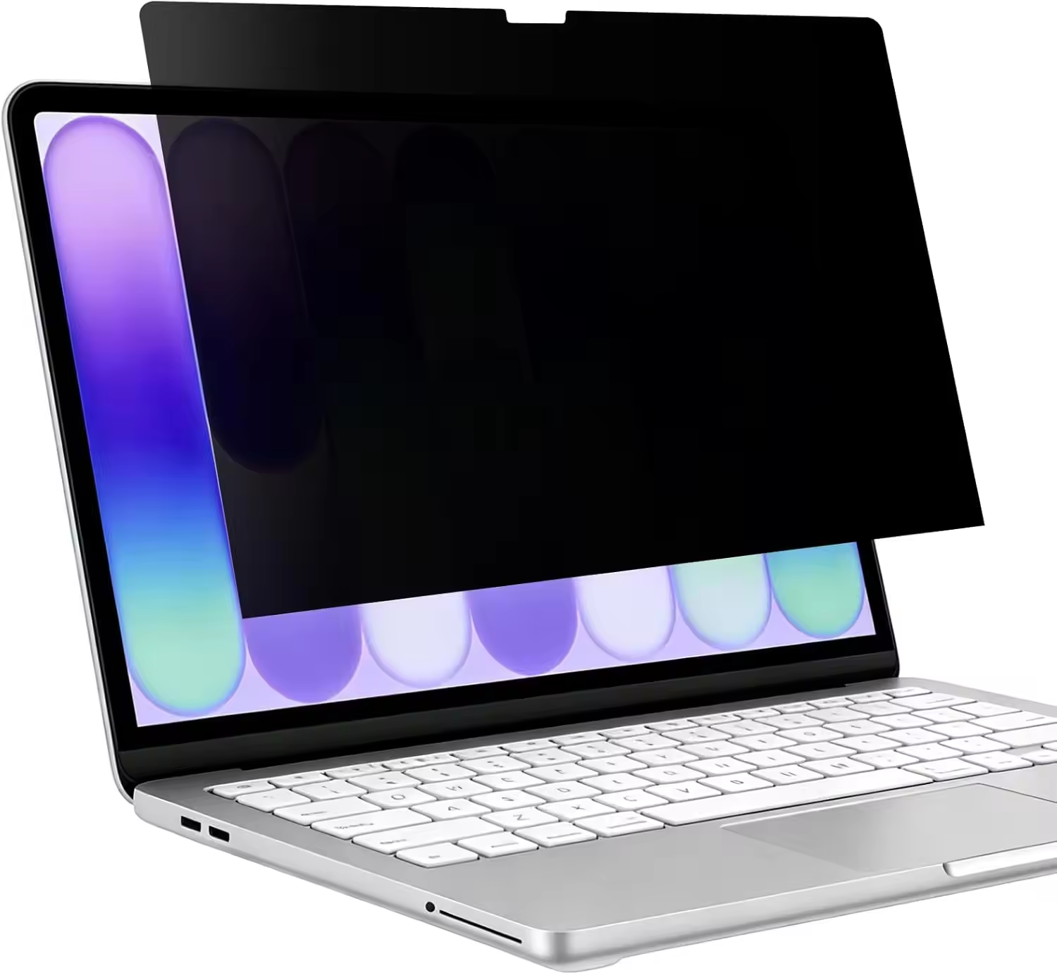 Negro - Pantalla de privacidad