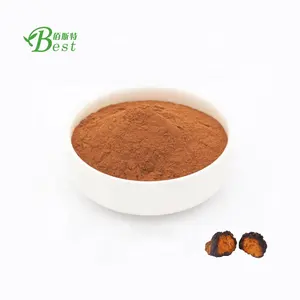 Extracto de seta chaga en polvo, extracto de seta chaga 30%, precio al por mayor