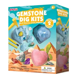 Dig Up Desert Gems DIY Toys Science Kit Best Gifts For Boys Girls Kid Toys
