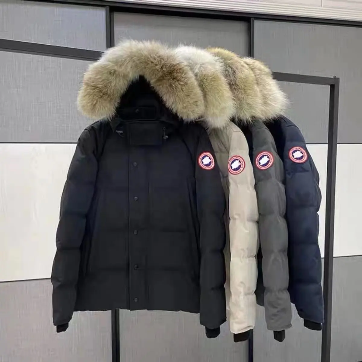 Giubbotto Canada G brand pellicce giacca da donna griffata abiti firmati giacche