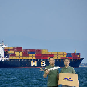 Дешевые тарифы на доставку морских экспедитора в Шэньчжэне Экспресс dhl курьерская доставка Китай в Великобританию/Италию/Франция/США/Канаду - Product Image 3