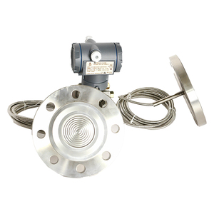 Sensor de Diafragma de Doble Brida DN50 4-20mA Presión Diferencial/Nivel DMP8 Nivel Capilar DMP8 - Product Image 6