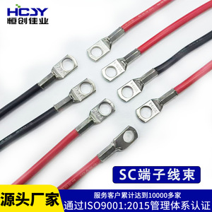 UPS <b>Battery</b> Connection Wire With Copper Ring <b>Terminal</b> 10 16 35 50 Sqmm For Inverter And Electric Vehicle - Product Image 2