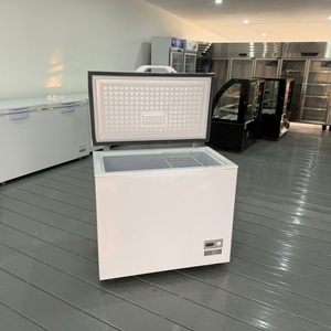 <span class=keywords><strong>Congélateur</strong></span> <span class=keywords><strong>horizontal</strong></span> commercial de bonne qualité, petit et profond - Product Image 4