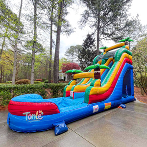 Màu sắc tuyệt vời phù hợp với thương mại trượt nước <span class=keywords><strong>Inflatable</strong></span> thể thao ngoài trời nhiệt đới duy nhất trượt nước Slide <span class=keywords><strong>Inflatable</strong></span> cho người lớn - Product Image 4