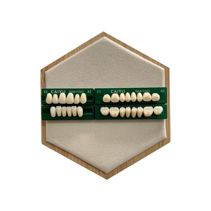 <span class=keywords><strong>CAIYU</strong></span> Dental Fabricante Nueva fuente de alimentación manual Dos capas Dientes postizos Juego completo Dental Resina acrílica Forma de dientes - Product Image 5