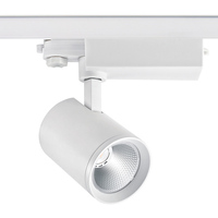 RONSE Projecteur sur rail LED COB à haute puissance, design moderne, blanc froid 6000K, 30W 40W, en aluminium, dissipation thermique polyédrique, pour musée et art