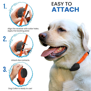 Collares de Nailon Coloridos de Tendencia al por Mayor Duraderos y Reflectantes para Perros con Juego de Correas Accesorios para Mascotas - Product Image 5