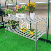 Vente directe d'usine, support à plantes en métal à 2 niveaux avec 14 barres par niveau, étagère de jardin résistante à la rouille pour l'extérieur/l'intérieur