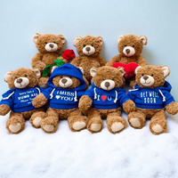 Ours en peluche super doux avec message émotionnel, rembourrage en coton PP, 'Je t'aime, je t'ai manqué, je te souhaite une prompte guérison, je suis désolé', cadeau d'excuse et de confession