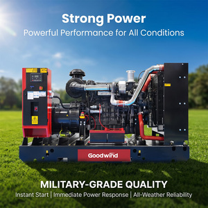 Generador Diésel Trifásico Goodwind de 400KW, 500KW, 600KW, Grupo Electrógeno de Potencia Nominal Continua para Reservas de Vida Silvestre <span class=keywords><strong>y</strong></span> Jardines Botánicos - Product Image 1