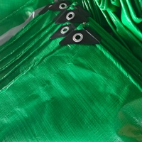 Bâche en PE imperméable à prix d'usine, robuste et pliable, avec bords renforcés pour chantier de construction et agriculture
