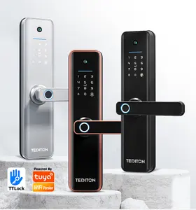Tediton Lock Manufacturers chapas inteligentes Wifi Tuya Smart Life App Password Mortise Lock Smart Door Lock with Camera