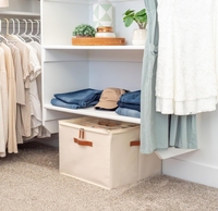 Boîte à chaussures pliable en tissu avec poignée, anti-poussière, anti-humidité, organiseur de rangement de chaussures divisé pour placard