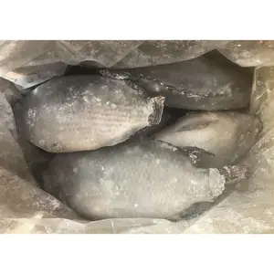 冷冻新鲜罗非鱼出售罗非鱼每公斤价格冷冻罗非鱼300-500克鱼