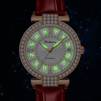 Montre mécanique automatique de luxe pour femmes Ferhmen F6770, cristal saphir, cadran à aiguilles, acier inoxydable, résistante à l'eau