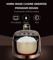 2023 4L Cuisinière Brevet Sans Glucides Faible Teneur en Sucre Diabète Aliments Sains Japonais Électrique Multi-Fonction Cuisinière Ricecooker
