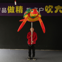 Costume de baleine gonflable coloré en forme de poisson pour défilé sur le thème marin avec décoration lumineuse