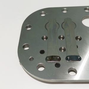 SP6H5000 SP6H500E SP6L4000 SP6L400E vana plakası assy RefComp soğutma kompresörü - Product Image 4