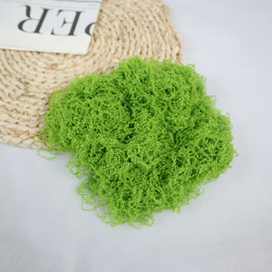 Mini-jardin paysager artificiel DIY, plantes en mousse légères pour la décoration de la maison et du bureau - Product Image 5