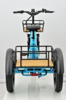 Entrepôt de l'UE 48V 250W vitesse maximale 25 km/h Cargo tricycle électrique pour adultes cadre en aluminium grand panier arrière
