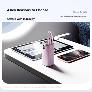 Ce RoHS OEM 10000mAh 20000mAh Polymer Pin di động điện thoại di động Powerbank sạc mini ngân hàng điện - Product Image 4