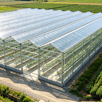 Serre multi-travées moderne en panneaux de polycarbonate et structure en acier pour élevage de poulets, usage agricole et culture de plantes à forte luminosité