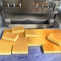 Machine de découpe automatique industrielle à ultrasons professionnelle en alliage de titane 2000W haute puissance pour les usines de biscuits, de snacks et de produits laitiers
