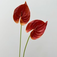 Bunga Anthurium Buatan Bentuk Persik Dekoratif PU Real Touch Grosir untuk Dekorasi Rumah dan Pernikahan
