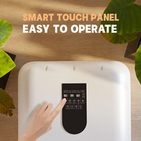 Nouvel arrivage Séchoir professionnel pour animaux de compagnie avec fonction UV Salle sèche pour chien, Boîte de séchage intelligente automatique pour chat avec vent naturel