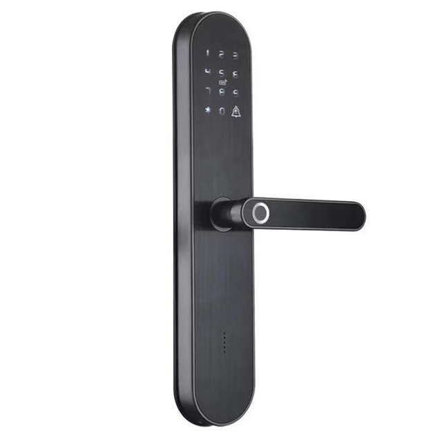 Smart Home Security Electric Digital Lock Smart Locks Phone Fingerprint Aluminum Sliding Door Lock