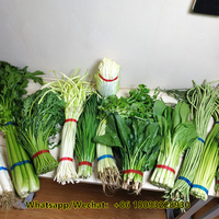 Machine de groupement de bâtonnets d'agarbatti à bas prix machine de groupement de agarbati machine de regroupement de légumes