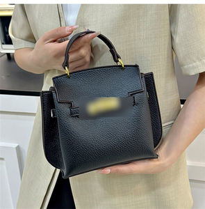 Mini bolso de mano Popular para mujer, uso diario, salida de fiesta, gran oferta, bolso de hombro tipo bandolera femenino de nicho de lujo para mujer - Product Image 1