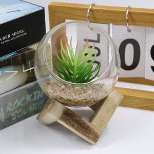 Plantas cuadradas en macetas <span class=keywords><strong>de</strong></span> madera maciza con una variedad <span class=keywords><strong>de</strong></span> suculentas, decoración <span class=keywords><strong>interior</strong></span> <span class=keywords><strong>de</strong></span> boda moderna personalizada, Mini bonsái - Product Image 6