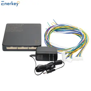 EnerKey OEM 8a умный активный балансир 3s 4s 5s 6s 8s 14s 16s 20s 21s 22s 24s Lifepo4/li-ion/ Lto выравнивание батареи