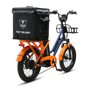 Bicicleta Eléctrica de Carga de Dos Ruedas TXED Ecológica, Transporte Urbano Sostenible, Batería de Alto Rendimiento, Bicicleta Profesional para Reparto - Product Image 4