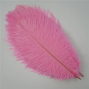 Fournisseurs de plumes en gros Décoration de plumes d'autruche artificielles teintes en plumes de fête pour costumes de carnaval