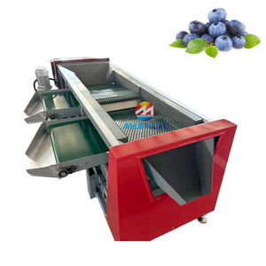 Trieuse de <span class=keywords><strong>fruits</strong></span> haute précision pour myrtilles, cerises, canneberges, fraises – Idéale pour les marchés frais et les emballages - Product Image 6