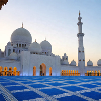 Tapis de prière musulman tufté sur mesure, écologique, en nylon imprimé, pour mosquée, tapis mural de mosquée