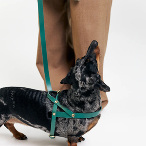 Arnés impermeable para perros Henshine, juego de correa para perros, diseñador ajustable, logotipo personalizado, arnés para perros recubierto de Pvc sin tirones para exteriores - Product Image 6