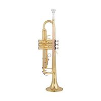 Bb Trumpet for School Students Adults Children Beginner Silver-plated Brass Instrument for Grade Exam Preparation First-time