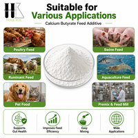 Butirato de Calcio en Polvo de Grado Alimenticio para Aves de Corral, Cerdos, Acuicultura, Aditivo para Alimento Animal