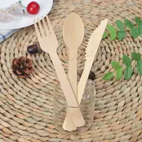Çevre dostu tek kullanımlık Birch ahşap mutfak meyve kaşık bıçak çatal seti çatal bıçak kaşık seti ile Logo özel