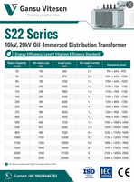 Transformateur de puissance triphasé immergé dans l'huile S22-M 10kV/20kV 100kVA-1600kVA à cuve corruguée IEC 50Hz pour postes de distribution