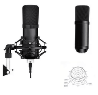 Microphone USB professionnel à condensateur pour chant de bureau, micro de Studio d'ordinateur, meilleur prix