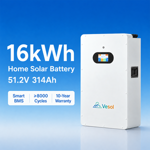 Batteria Solare da Parete 16kWh 300Ah LiFePO4 51.2V, Sistema di Accumulo Ibrido per Casa/Villa, ESS Residenziale - Product Image 1