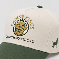 Gorras de Béisbol OEM ODM con Bordado de Club, Estilo Hip Hop para Niños, Gorras Trucker de Colores, Gorras Snapback Deportivas, Gorras de Golf con Estampado Animal para Adultos