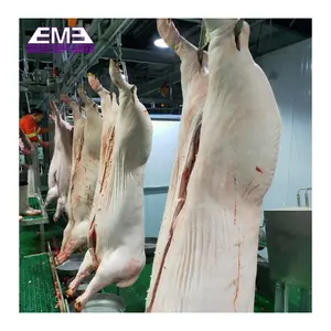 Équipement avancé d'abattage de porc d'EME pour l'abattoir de bétail
