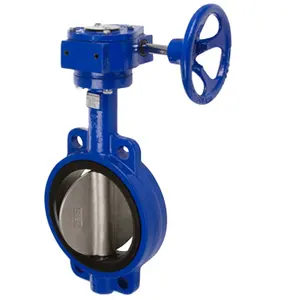 Manual Lever GGG40 DN200 8 Inch PN16 Wafer Butterfly Valve With Handwheel